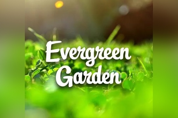 Ландшафтно-озеленительная компания «Evergreen Garden»
